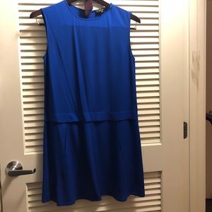 Blue Babaton Dress.